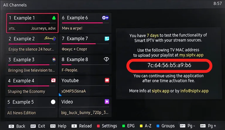 smart iptv service